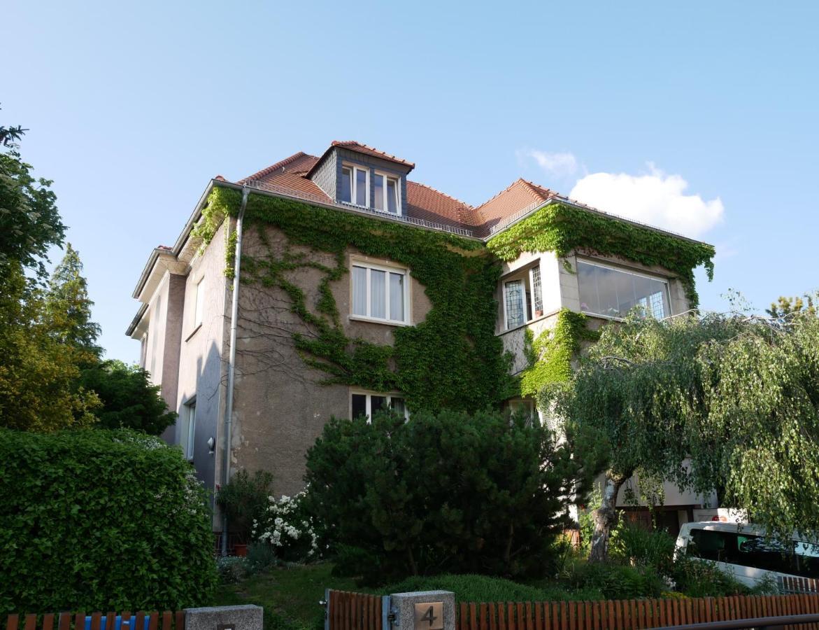 דרזדן Ferienwohnung Mit Flair מראה חיצוני תמונה